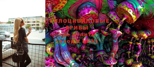 дурь Аркадак