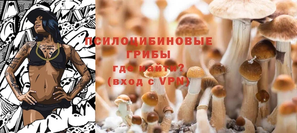 дурь Аркадак