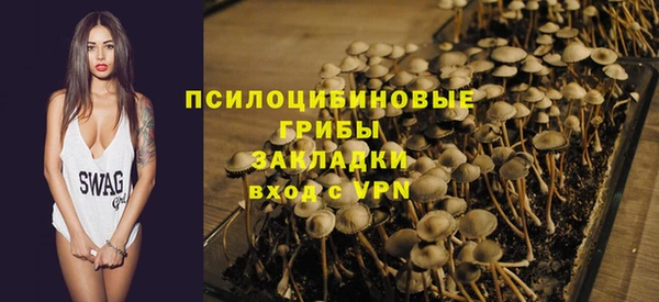 PSILOCYBIN Арсеньев