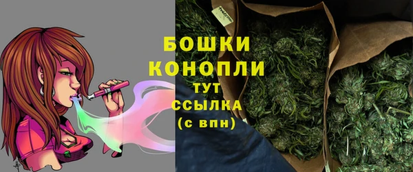 PSILOCYBIN Арсеньев