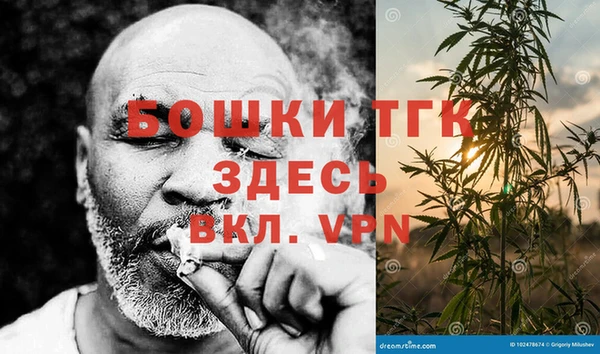 шишки Армянск