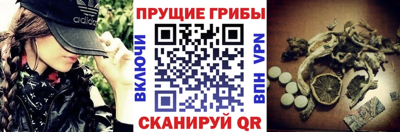 Галлюциногенные грибы мицелий  Инта 
