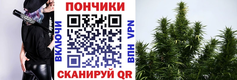 Канабис Bruce Banner  МЕГА рабочий сайт  Инта 